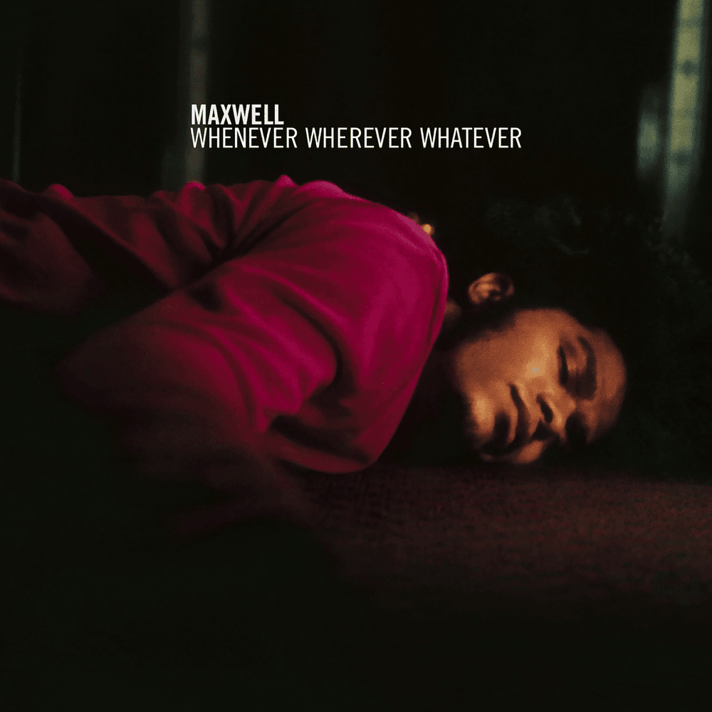 Cover image for Whenever Wherever Whatever