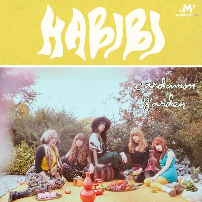 Gypsy Love by Habibi
