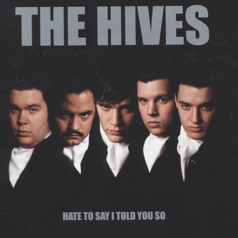 Hate to Say I Told You So by The Hives