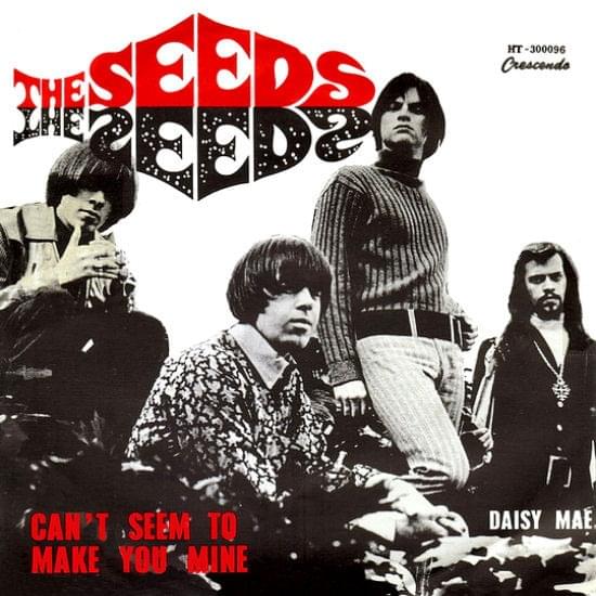 Can’t Seem to Make You Mine by The Seeds
