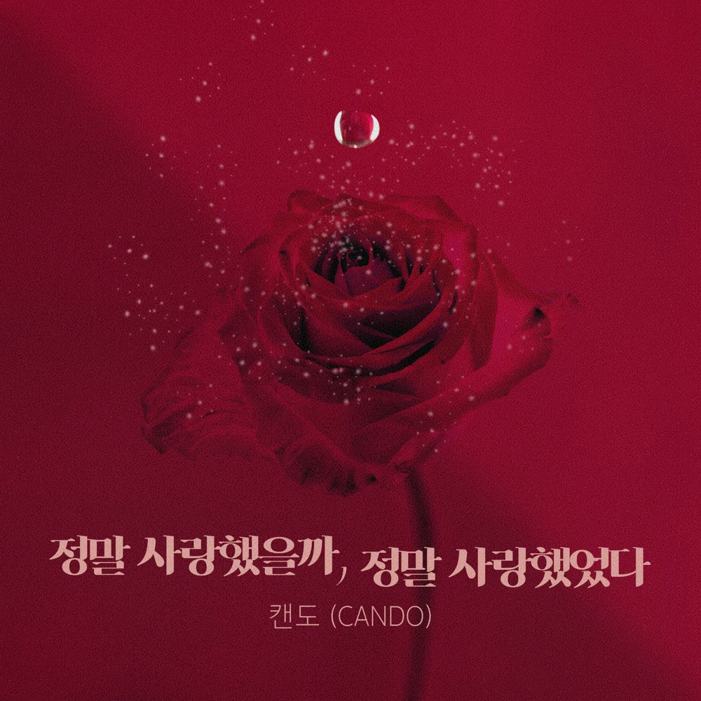 Album cover art for "정말 사랑했을까, 정말 사랑했었다 (Did You Really Love Me? I Really Loved You)" by CANDO (캔도) (KOR)