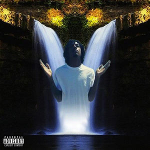 Album cover art for "Feel Like" by Chris Travis
