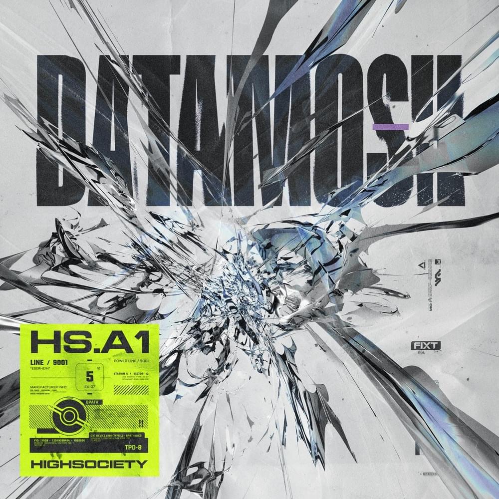 Cover image for DATAMOSH