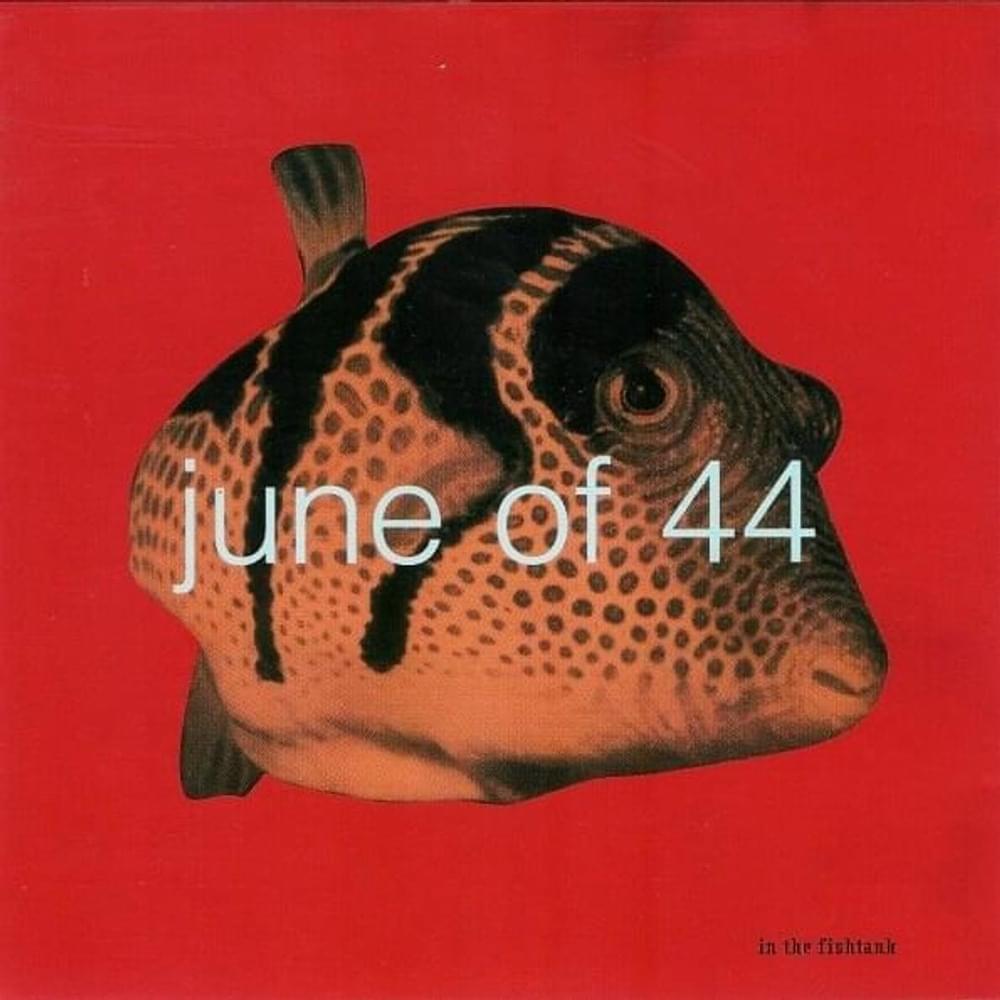 Every Free Day a Good Day by June Of 44
