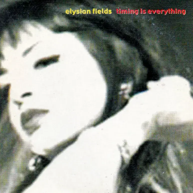 Album cover art for "Timing Is Everything" by Elysian Fields