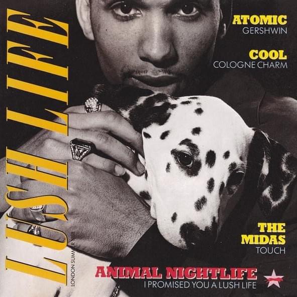 The war I Lost by Animal Nightlife