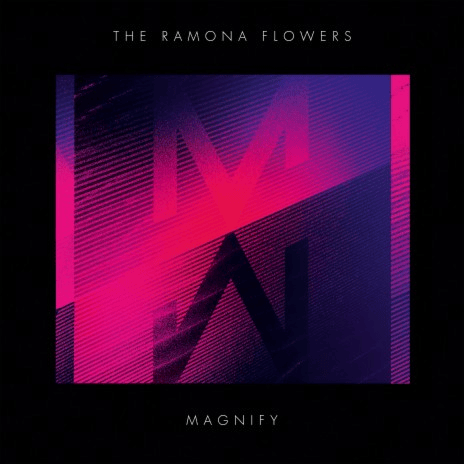 Cover image for Magnify