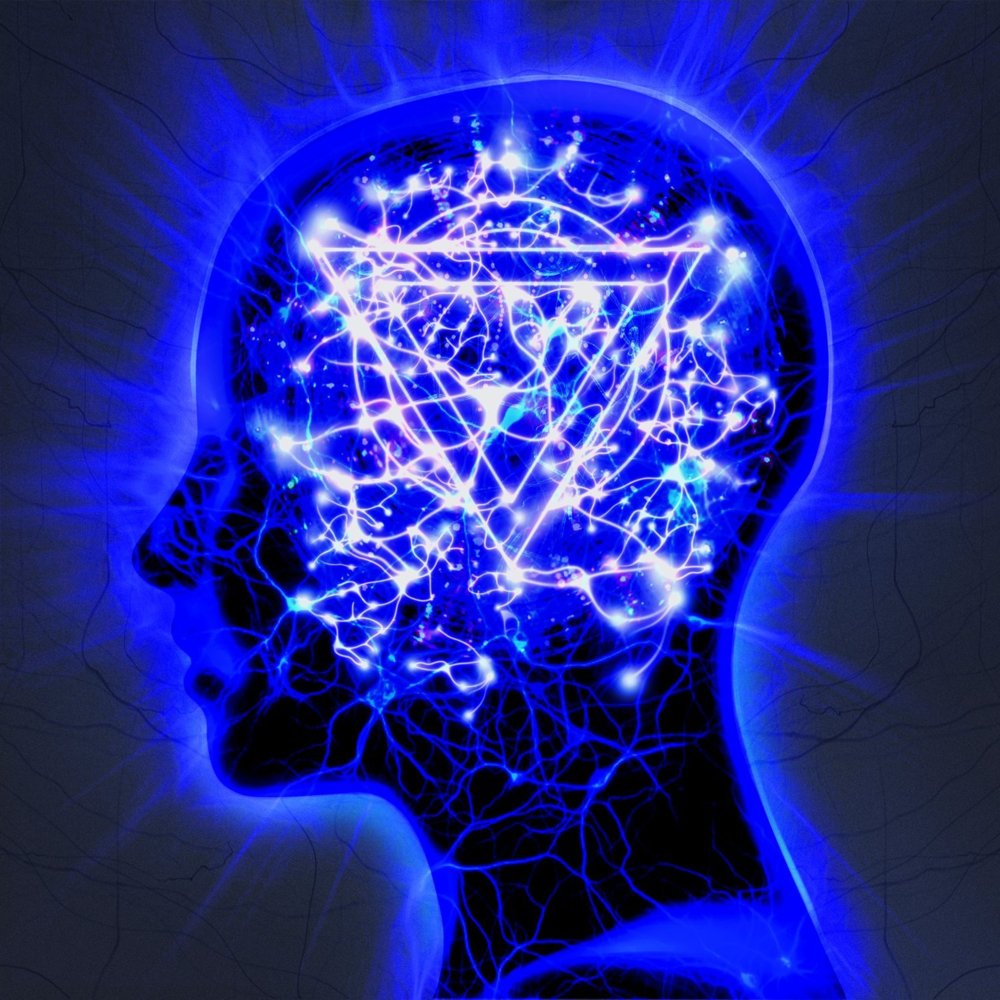 Cover image for The Mindsweep