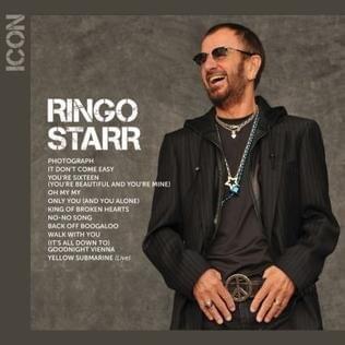 Cover image for Icon