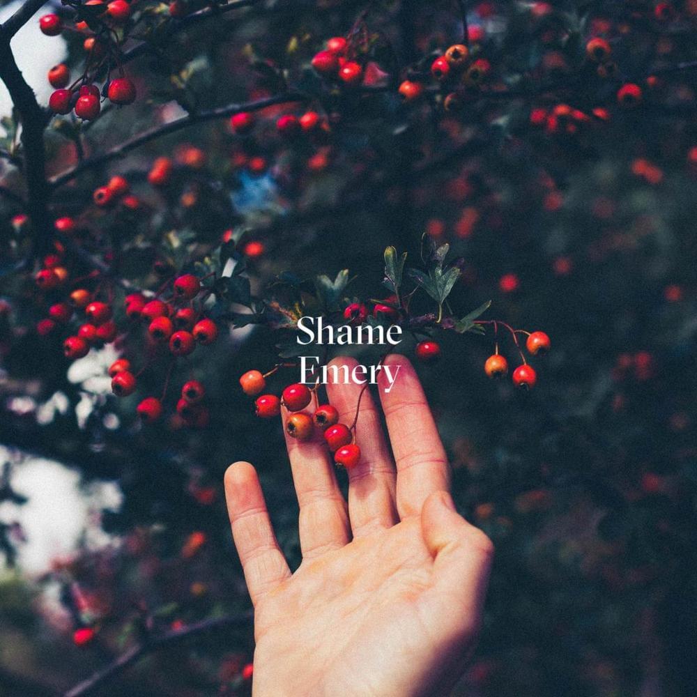 Album cover art for "Shame" by Emery