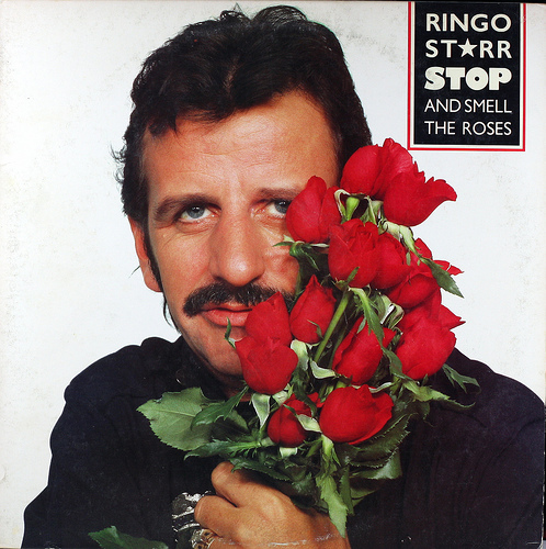 Album cover art for "You Belong to Me" by Ringo Starr