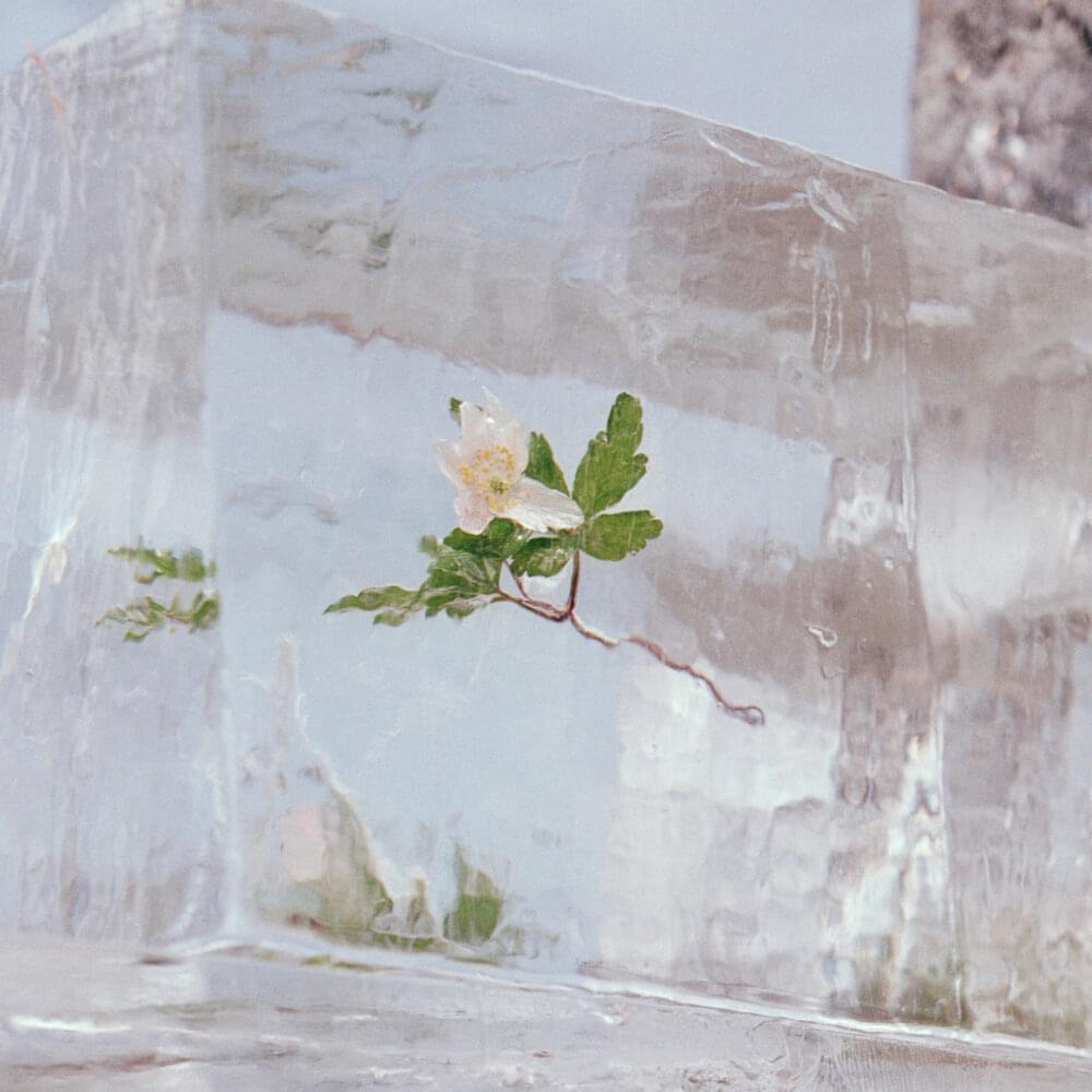 Album cover art for "Dragonfly" by Efterklang