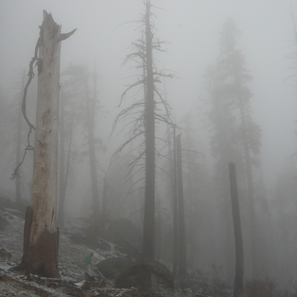 Album cover art for "Known World" by Mount Eerie