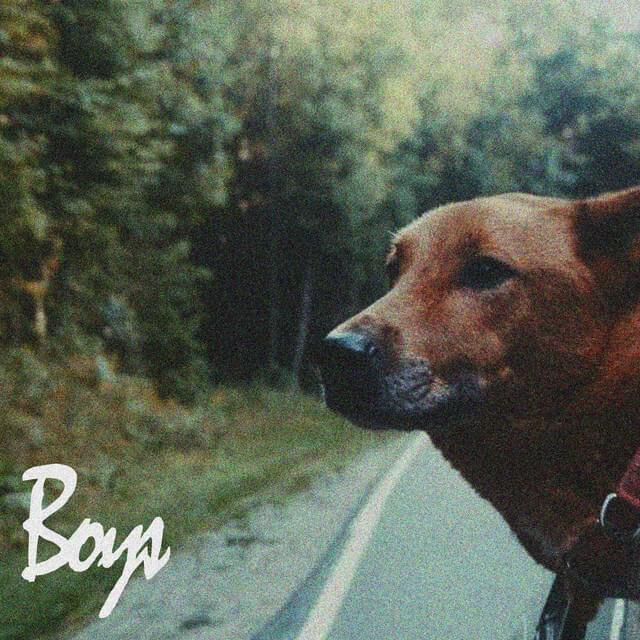 Album cover art for "Boys" by Indigo De Souza