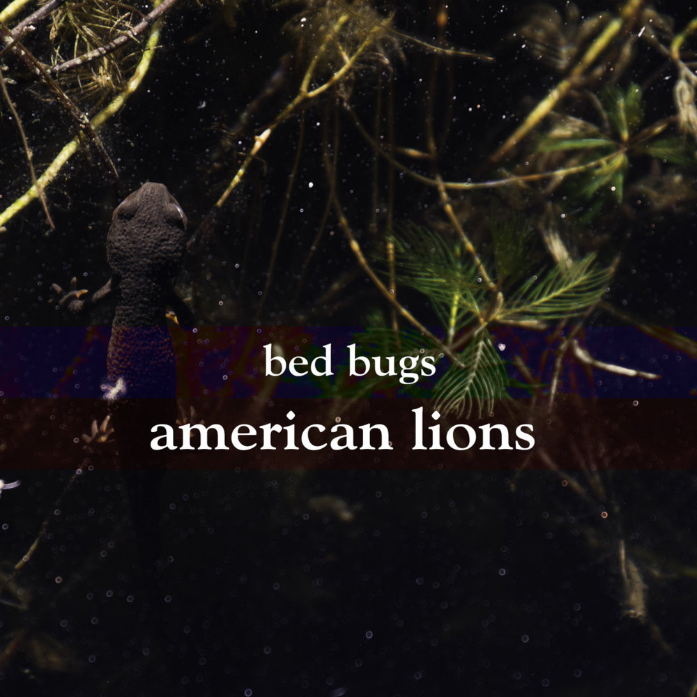 Cover image for Bed Bugs (Single)
