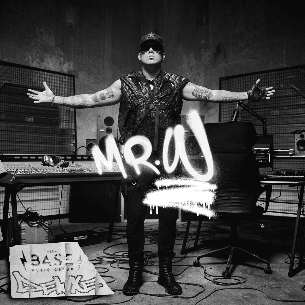 Cover image for Mr. W (Deluxe)