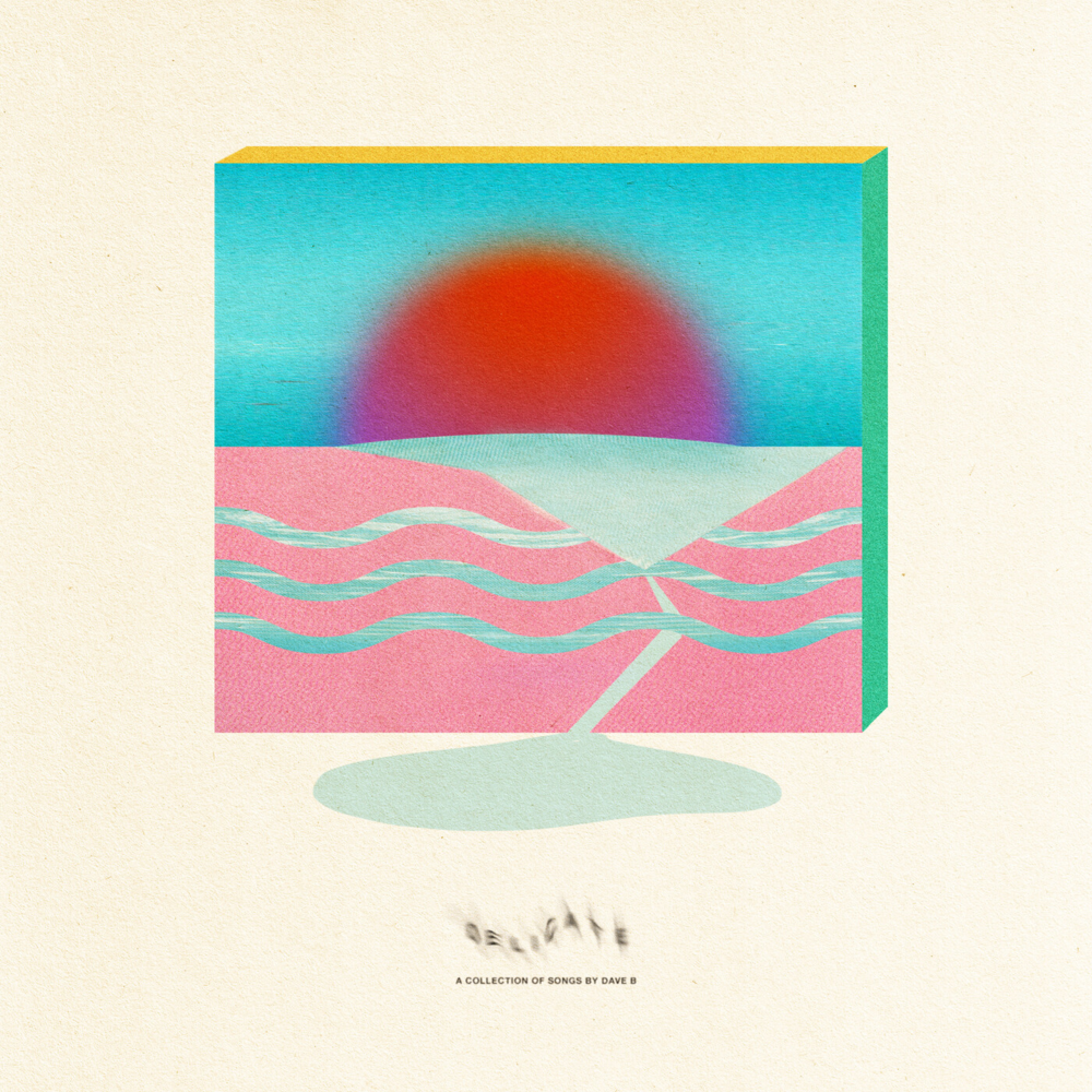 Cover image for Delicate
