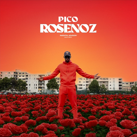 Album cover art for "Symphonie" by Pico & Maes