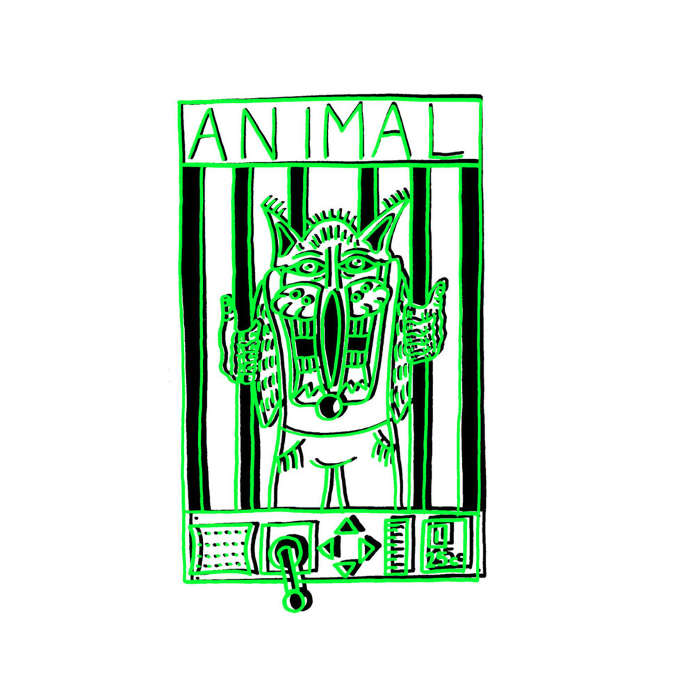 Album cover art for "Animal" by Wavves