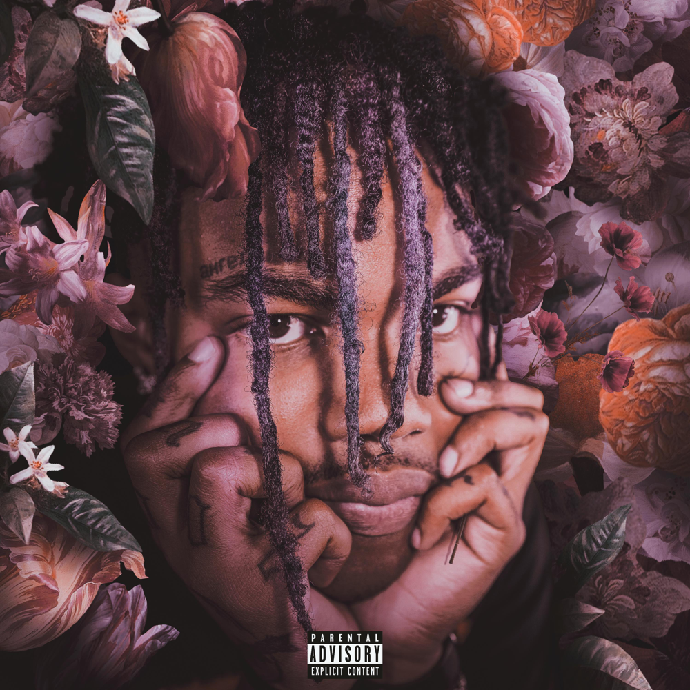 Cover image for Romance For Madness