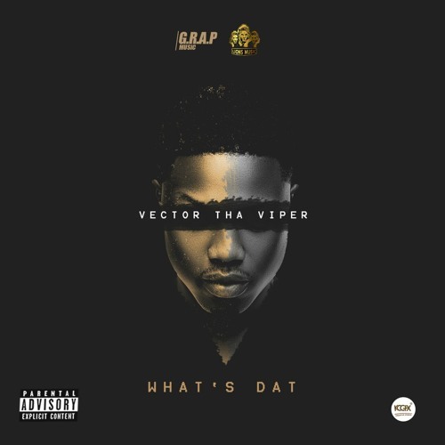 Album cover art for "What’s That?" by Vector