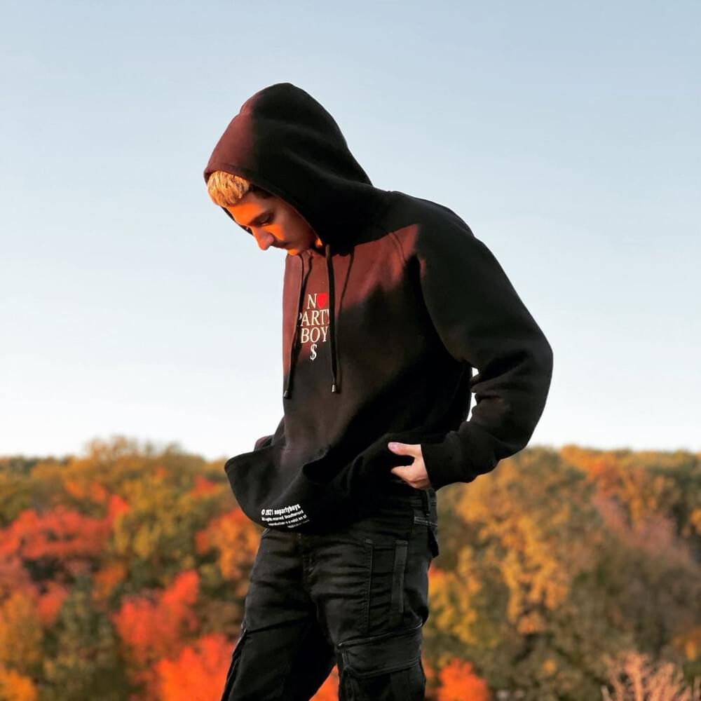 Cover image for Dhali