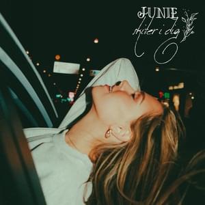 Skiter i dig by Junie