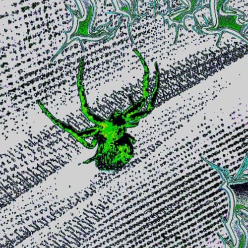 Album cover art for "​egodeath" by ​grape milk