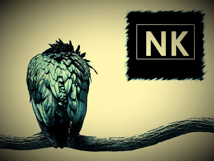Cover image for Nestor Kéa