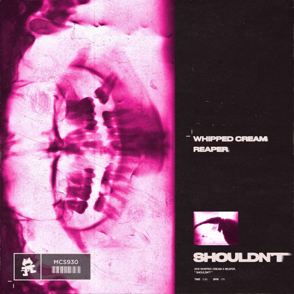 Album cover art for "Shouldn’t" by WHIPPED CREAM