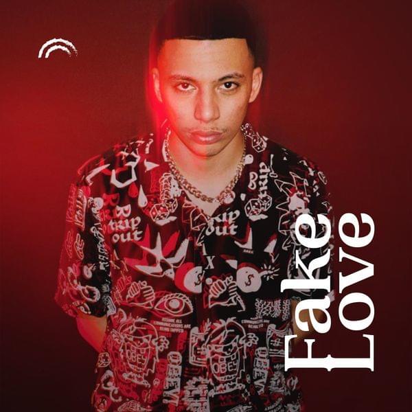 Album cover art for "Fake Love" by Di-Meh