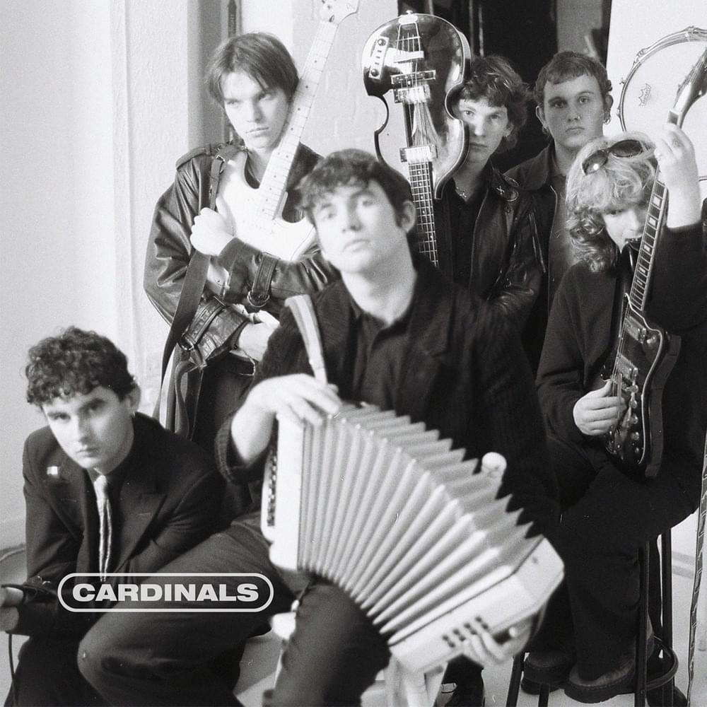 Amphetamines by Cardinals (IRE)