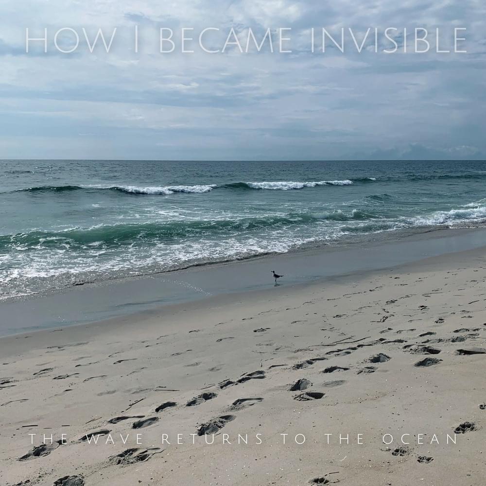 Fake Rebellions by How I Became Invisible