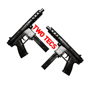 Cover image for TwoTecs