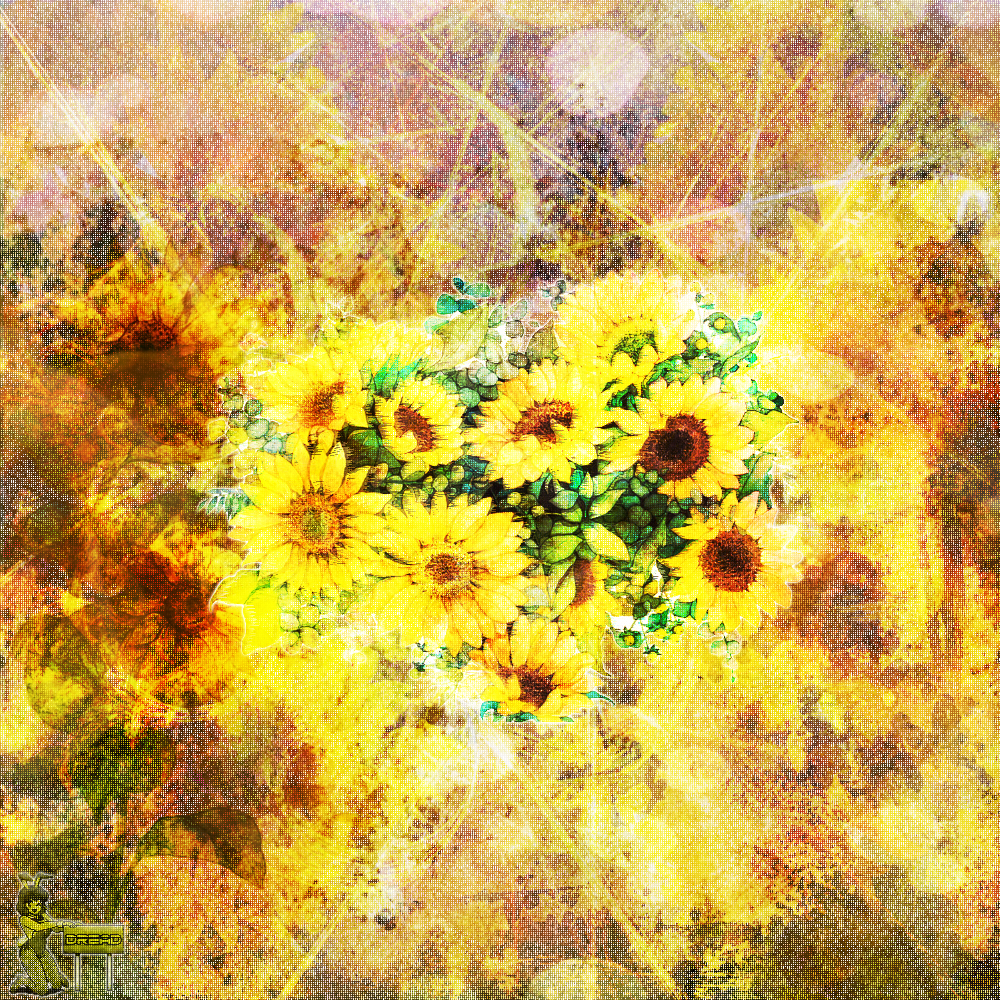 Cover image for Ari 🌻
