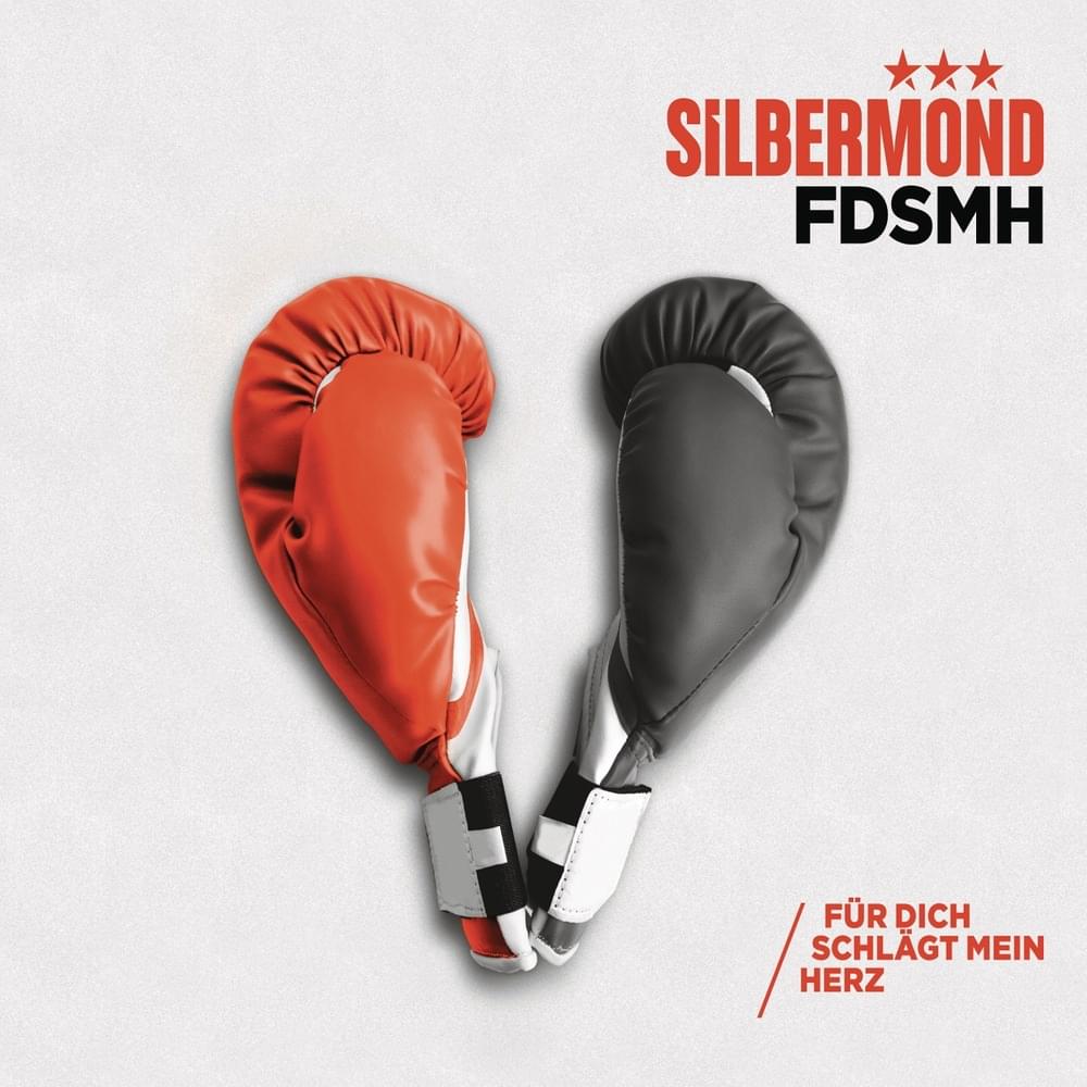 Album cover art for "Für dich schlägt mein Herz" by Silbermond