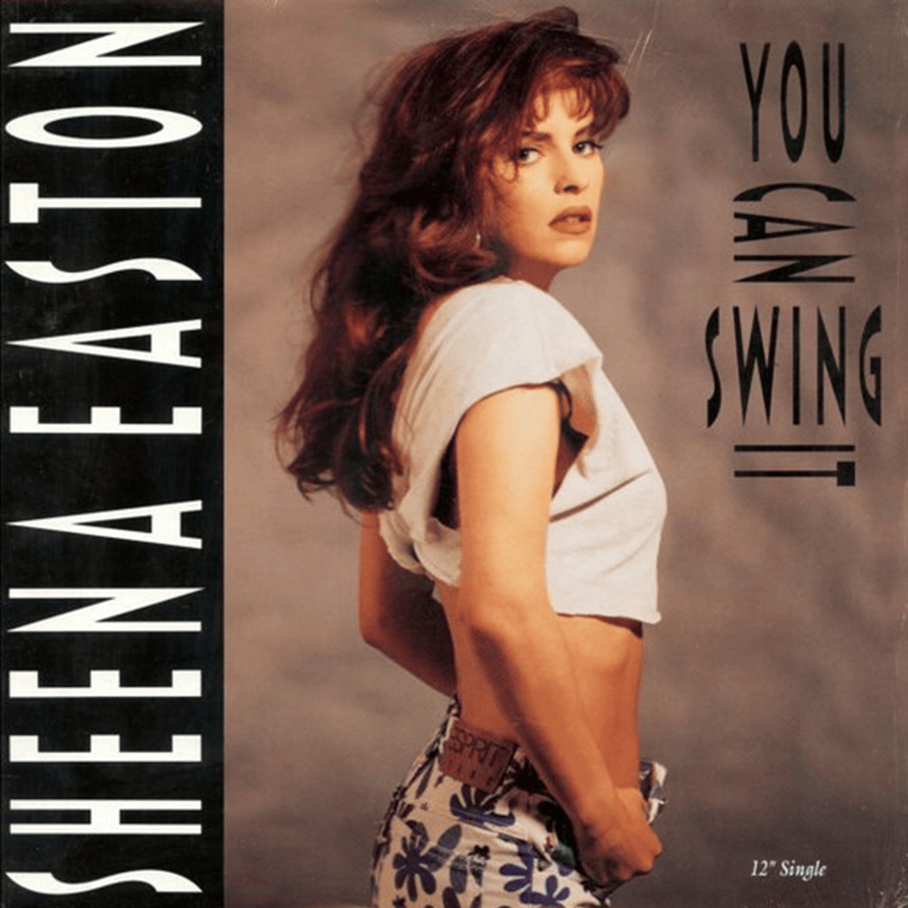 Cover image for You Can Swing It (Single)
