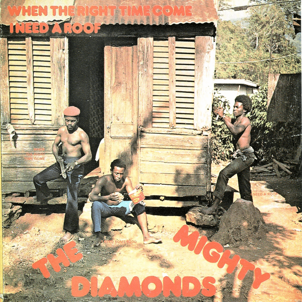 Cover image for I Need a Roof