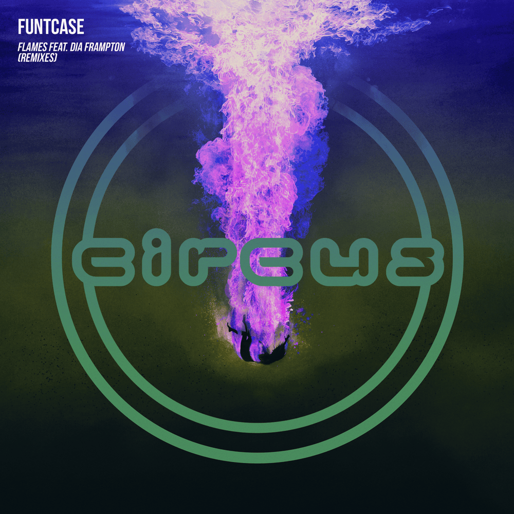 Cover image for Flames (Remixes)
