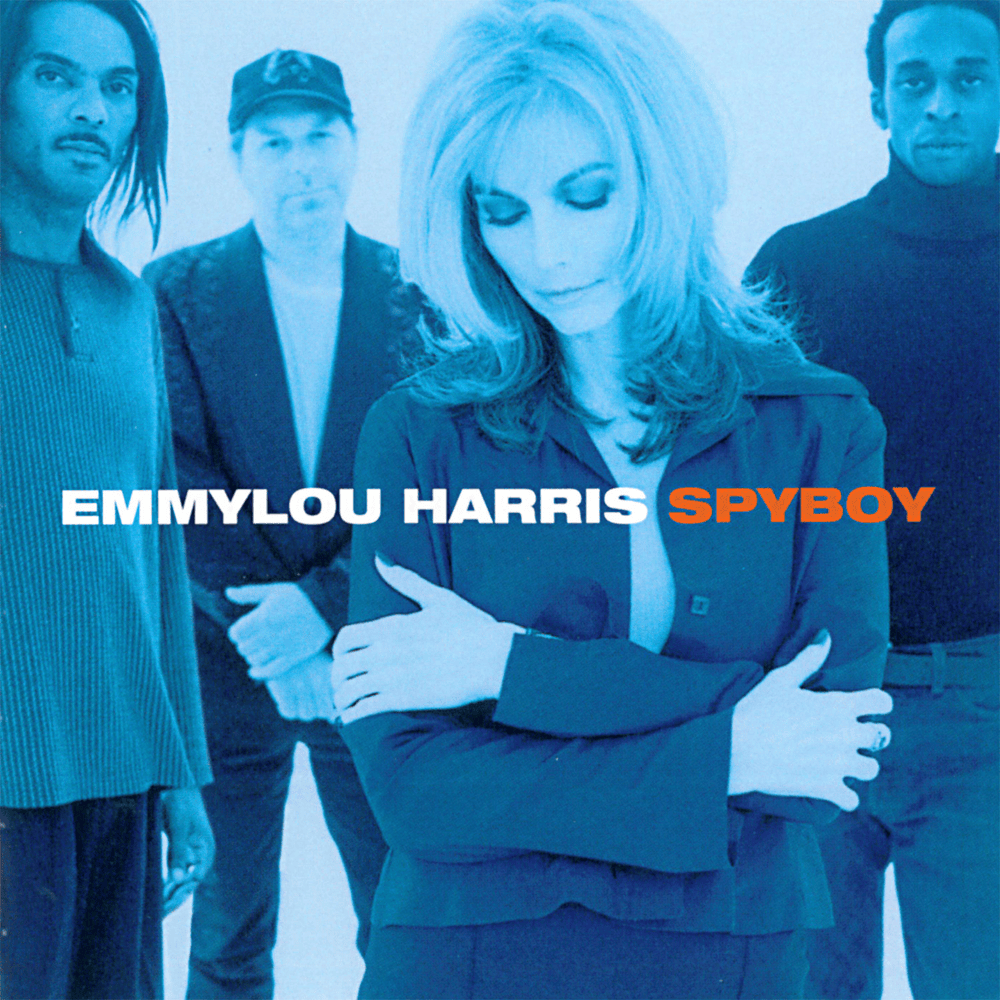 Cover image for Spyboy