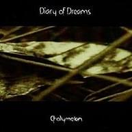 The Stranger Remains by Diary of Dreams