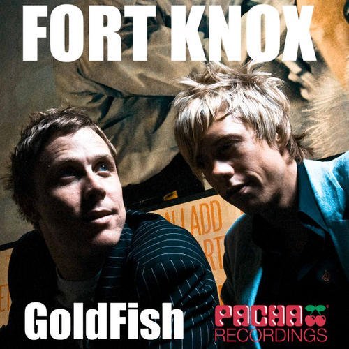 Album cover art for "Fort Knox" by GoldFish & Sakhile Moleshe