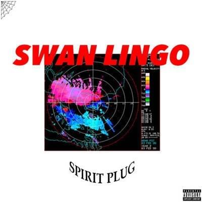 Cover image for Spirit Plug