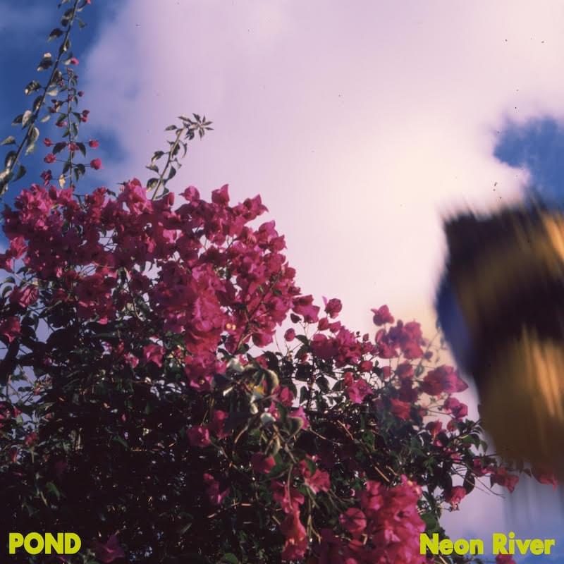 Album cover art for "Neon River" by Pond