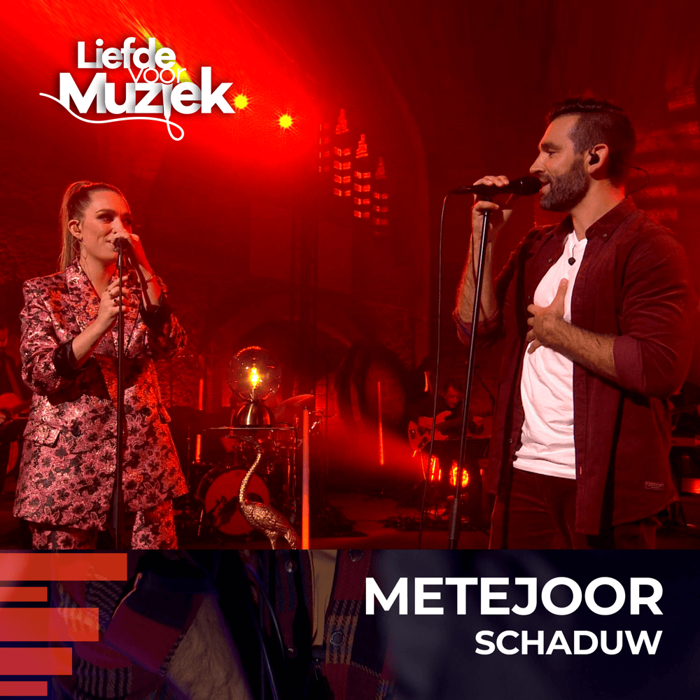 Album cover art for "Schaduw (uit Liefde Voor Muziek)" by Metejoor