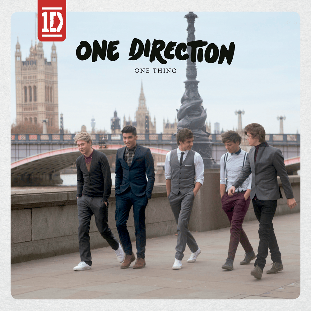 Album cover art for "I Should Have Kissed You" by One Direction