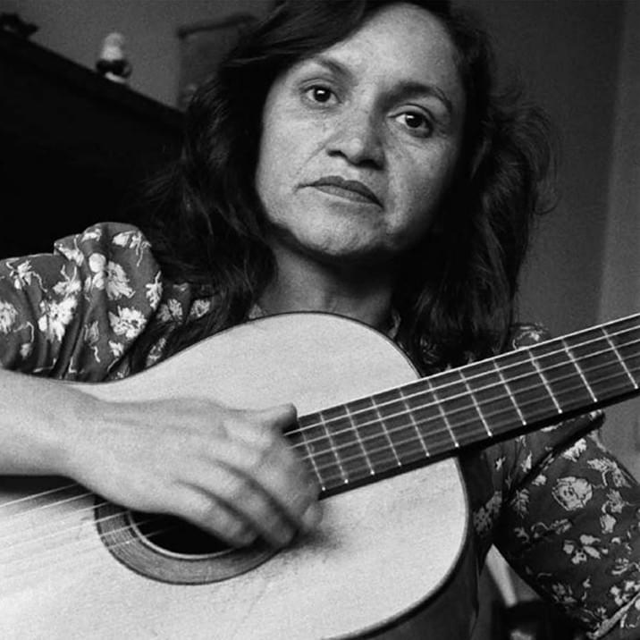 Cover image for Violeta Parra