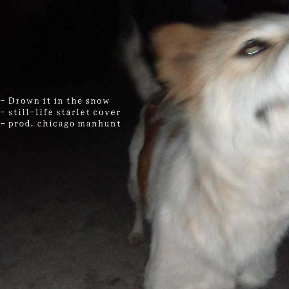 Album cover art for "Drown it in the snow" by ghostholding