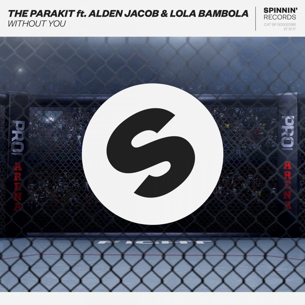 Album cover art for "Without You" by The Parakit & Lola Bambola & Alden Jacob