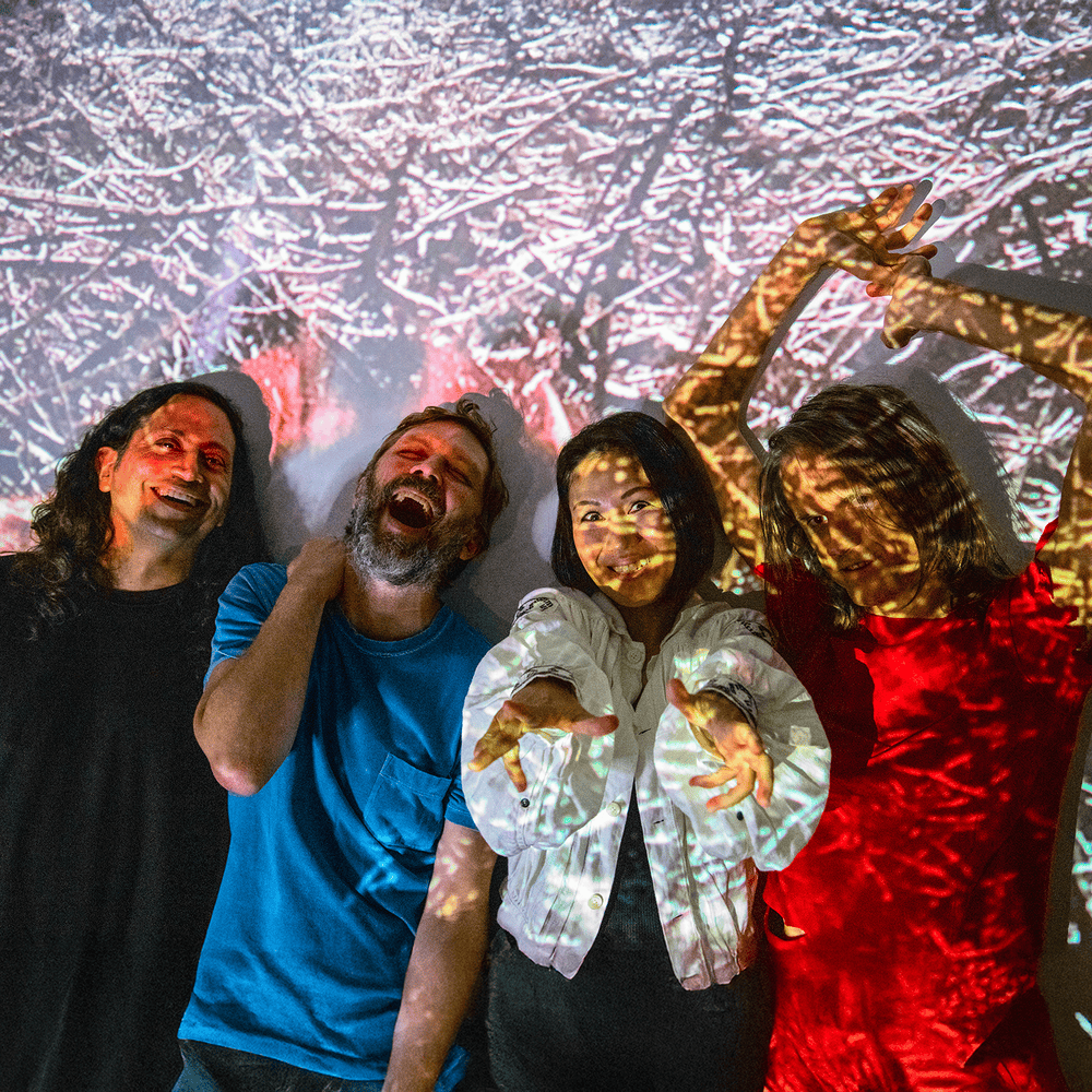 Cover image for Deerhoof